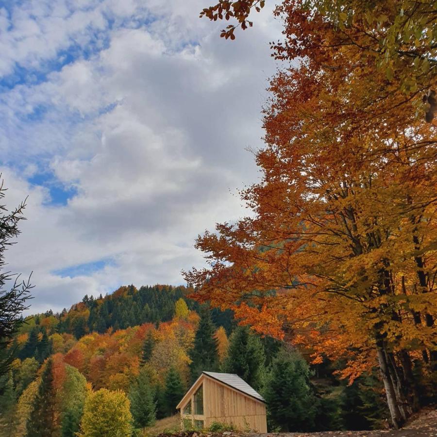 La Hambare Villa Colibiţa Buitenkant foto