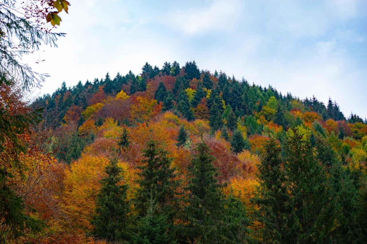 La Hambare Villa Colibiţa Buitenkant foto