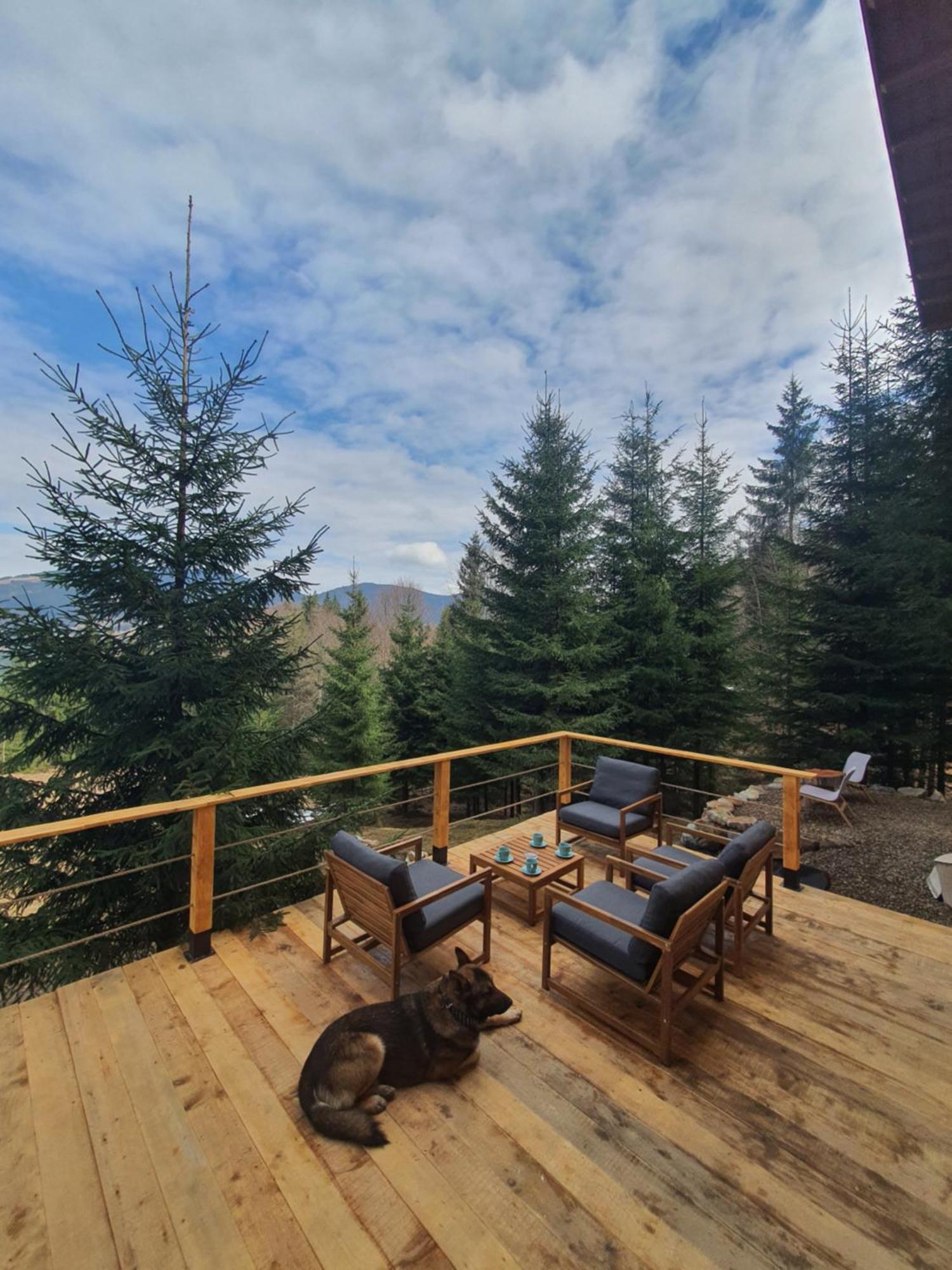 La Hambare Villa Colibiţa Buitenkant foto