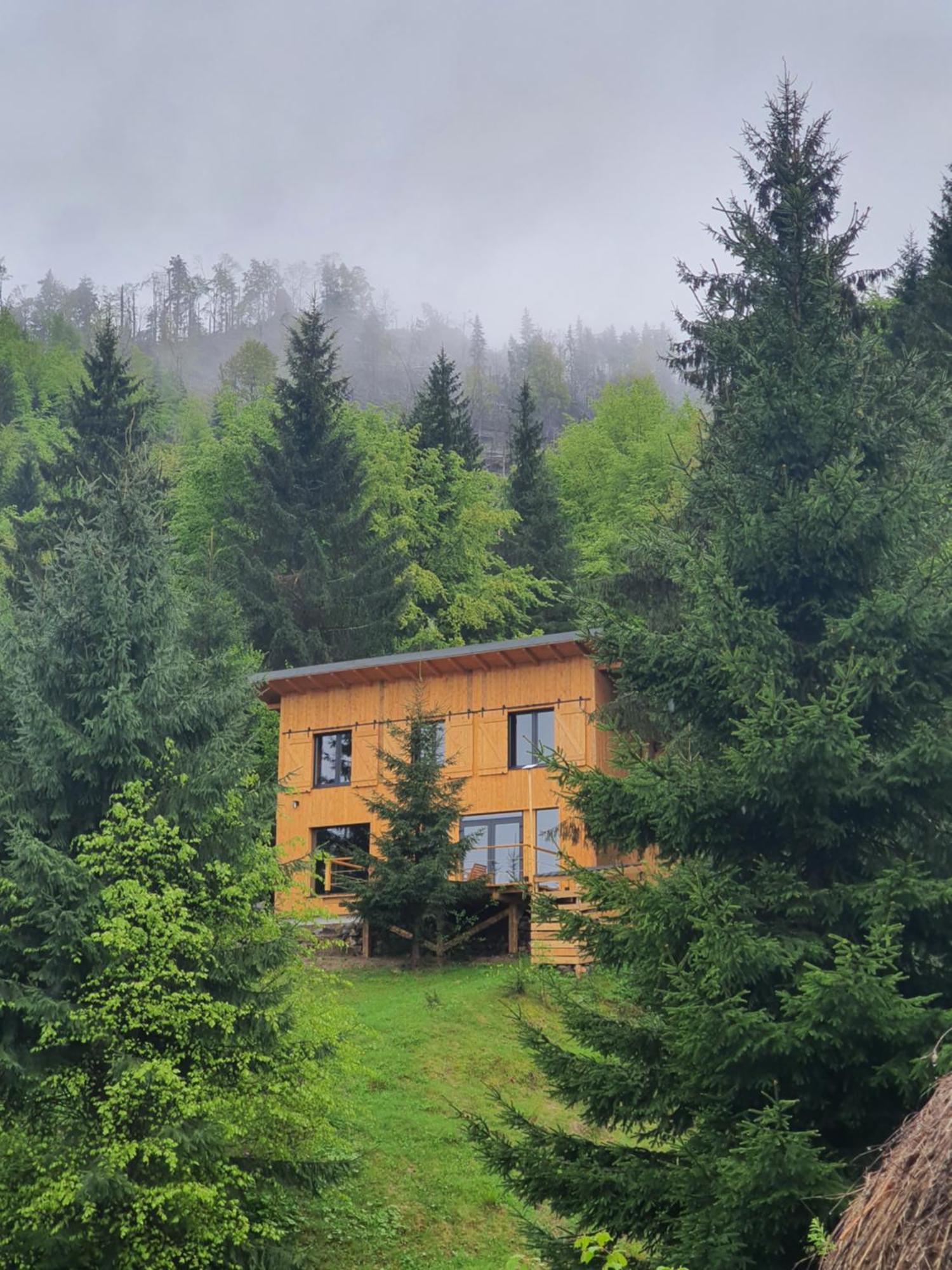 La Hambare Villa Colibiţa Buitenkant foto