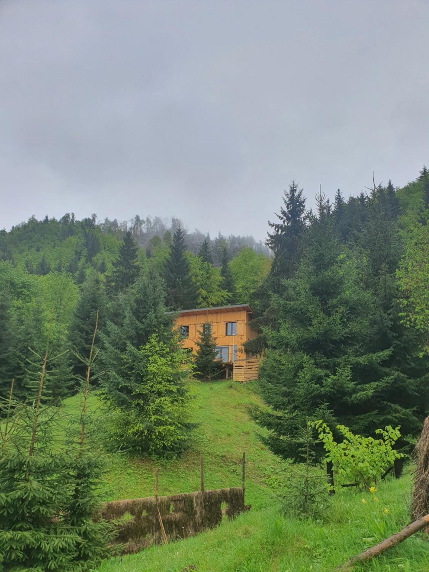 La Hambare Villa Colibiţa Buitenkant foto